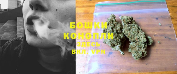 гашик Белокуриха