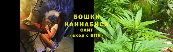 гашик Белокуриха