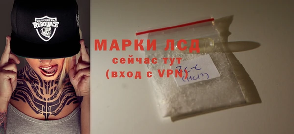 гашик Белокуриха