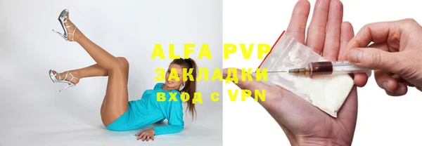 гашик Белокуриха