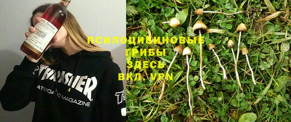 гашик Белокуриха