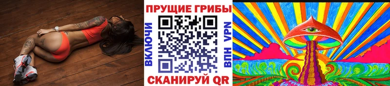 гидра ссылка  Кулебаки  Псилоцибиновые грибы прущие грибы  купить наркоту 